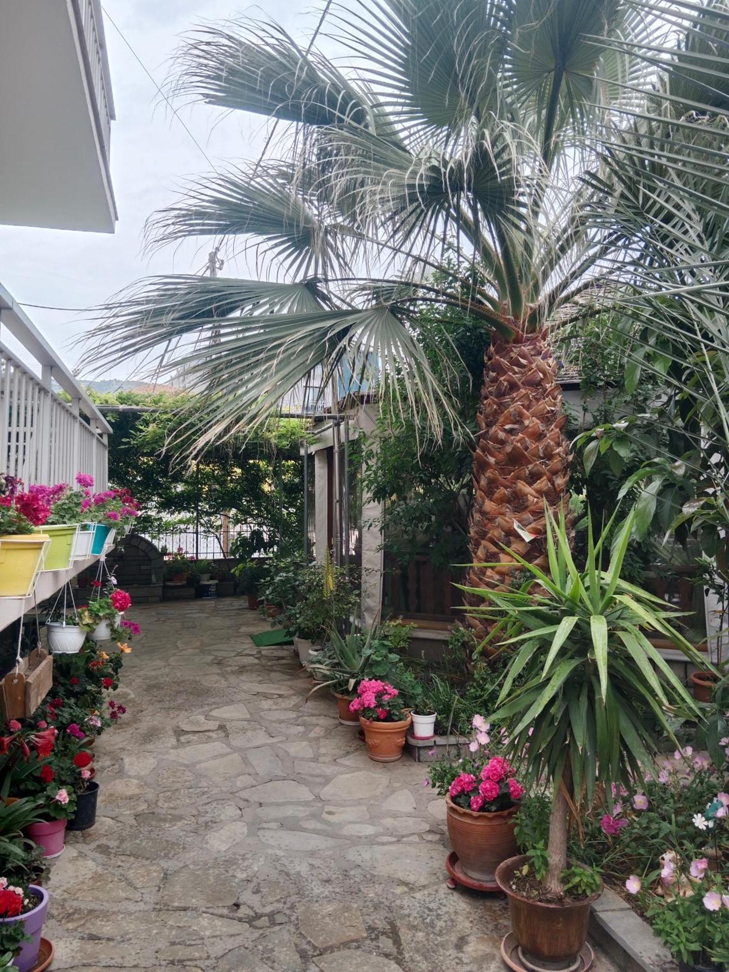 Patra Skala Prinou Prinos (Thasos)